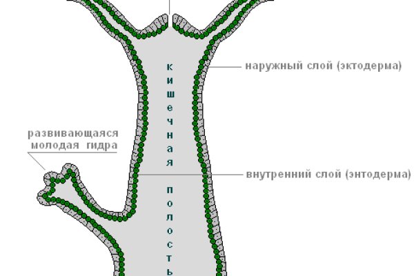 Кракен это известный маркетплейс