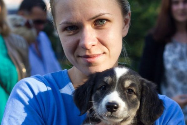 2krn сс что это такое