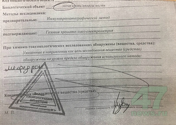 Как зайти на кракен через тор браузер